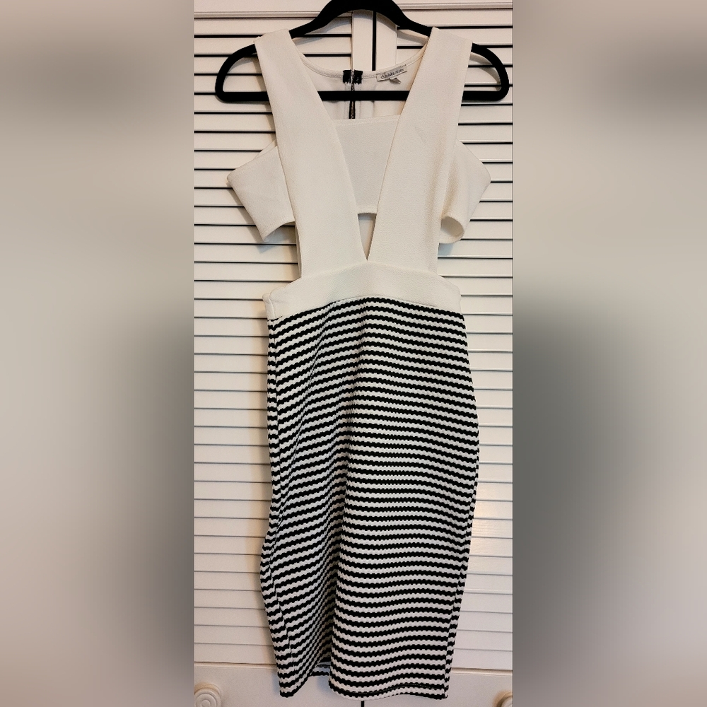Charlotte Russe knee length dress
